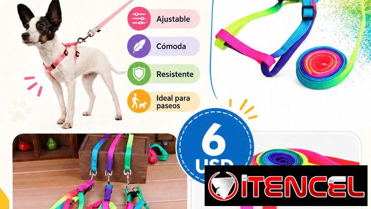 Arnés y correas para mascotas