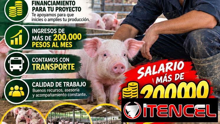 Emprendedor Porcino