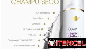 Dive Volumen & Full Champú en Seco