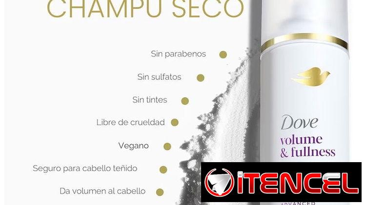Dive Volumen & Full Champú en Seco