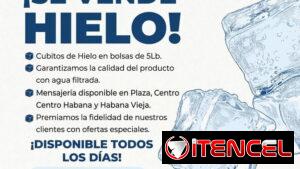 Bolsas de hielo