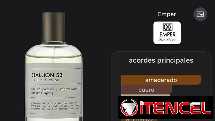 Stallion PERFUME