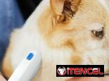 🐶🐱 Peine eléctrico para mascotas – calidad superior ✨