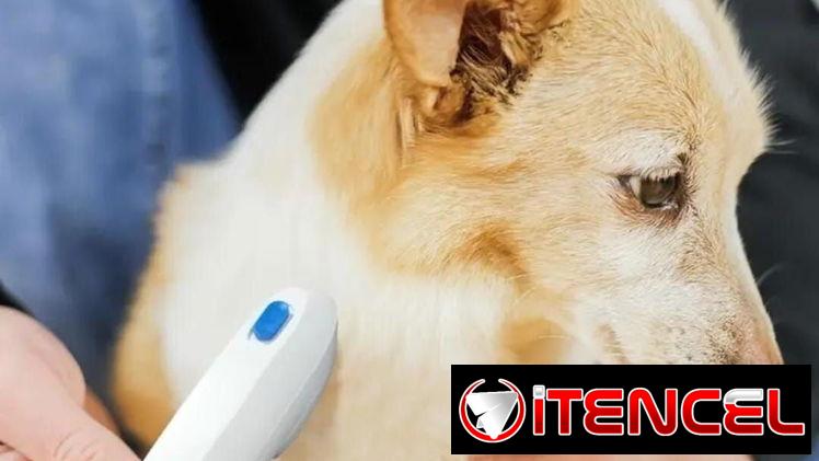 🐶🐱 Peine eléctrico para mascotas – calidad superior ✨