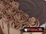 Delicia Tropical