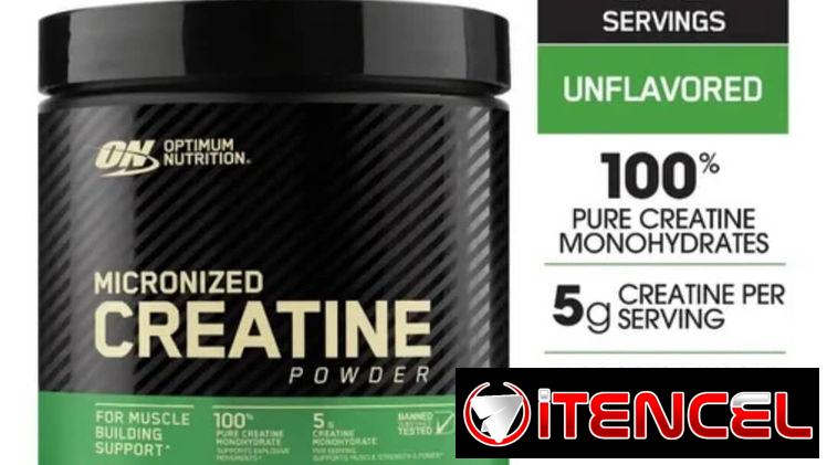 CREATINA (ON) 300GR-60SERV