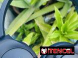 Audífonos Soundcore 20Qi con cancelación de ruido y sonido envolvente