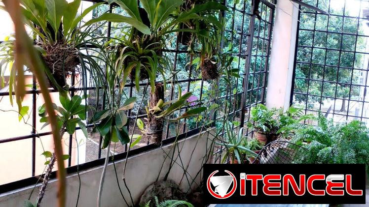 SE RENTA LINEAL AMPLIO APARTAMENTO UBICADO EN MIRAMAR, EN CALLE 10, CON GARAJE — foto 2