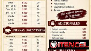 Comida criolla con tamales