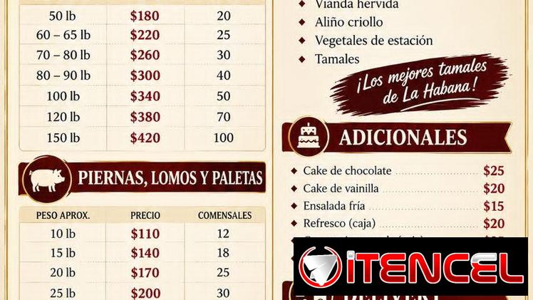 Comida criolla con tamales — foto 1