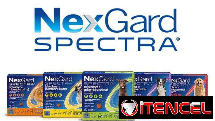 Nexgard Spectra