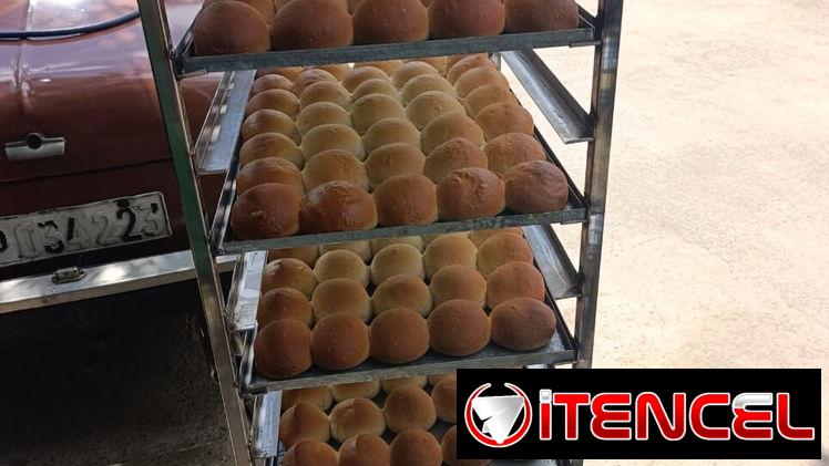 Horno Eléctrico y Diésel Rotativo — foto 1