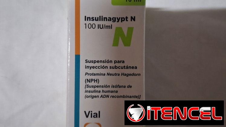 Insulina