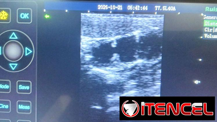 Ultrasonido Veterinario a domicilio. — foto 2