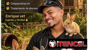 Veterinario especializado en Conejos 🐇 A Domicilio ‼️
