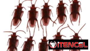 📦 => Pack ! 10 Cucarachas de Plastico !! 📦 => FALSAS de BROMA - JUGUETES - TAMAÑO REAL - 58872360