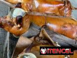 🐷🔥 ¡El Auténtico Cerdo Asado Criollo con guardiciones para tu Fiesta! Sin Cocinar ni Preocuparte (La Habana)
