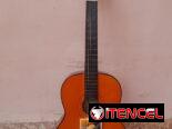 Guitarra clasica