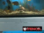 2 peceras de 130cmx68cmx44cm cristal de guagua y mueble con tapas y luces…120 USD..52433043