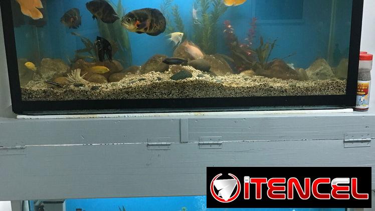 2 peceras de 130cmx68cmx44cm cristal de guagua y mueble con tapas y luces…120 USD..52433043