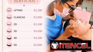 Cejas