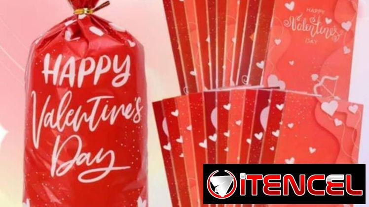 Bolsa de regalo