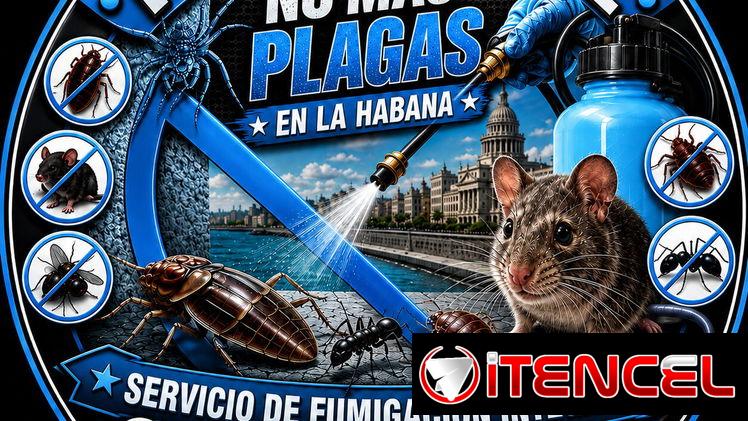 Pest Control. Fumigación Integral — foto 3