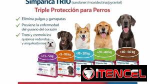 Simparica TRIO