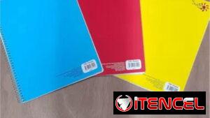 Libretas grandes de 100 hojas rayadas.