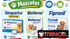 Antiparasitarios para mascotas