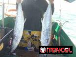 🎣 ¡EXCURSIÓN DE PESCA EN TRINIDAD! 🐟🌊