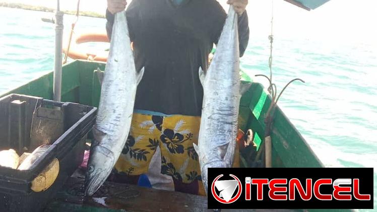 🎣 ¡EXCURSIÓN DE PESCA EN TRINIDAD! 🐟🌊