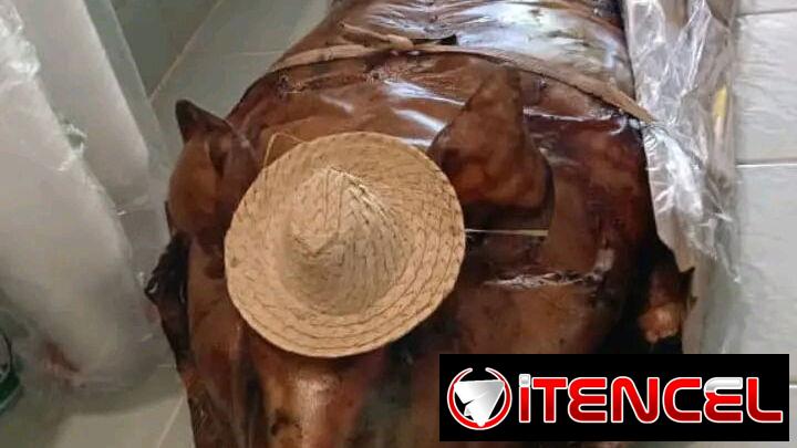 🐖 Cerdo entero de 70 libras para 35 personas con su comida criolla