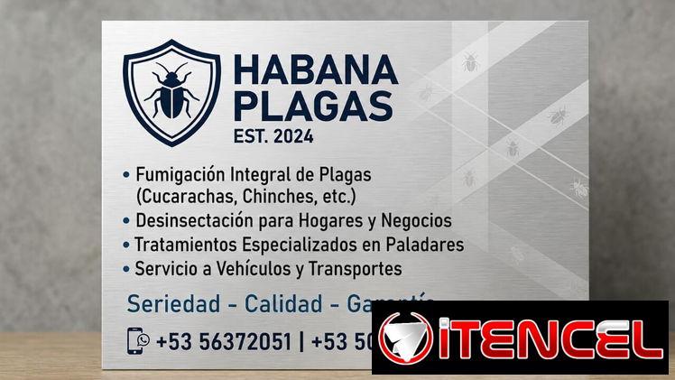 🪳🚫 SERVICIO PROFESIONAL DE FUMIGACIÓN Y EXTERMINIO DE CHINCHES 🚫🪳