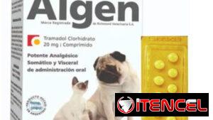 Tramadol analgésico para perros y gatos