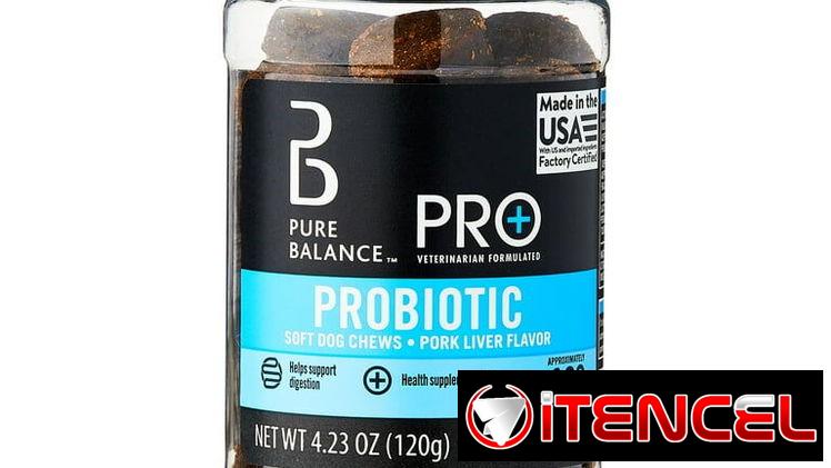 Probióticos para perros y gatos