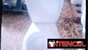 Taza de baño