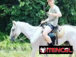 🐎🌿 EXCURSIÓN A CABALLO | CASCADA DE JAVIRA – TRINIDAD 🌿🐎