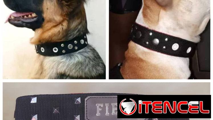 Collar de paseó