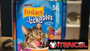 Golosinas para gatos