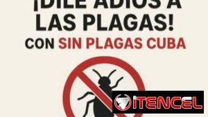 👉 Fumigador profesional