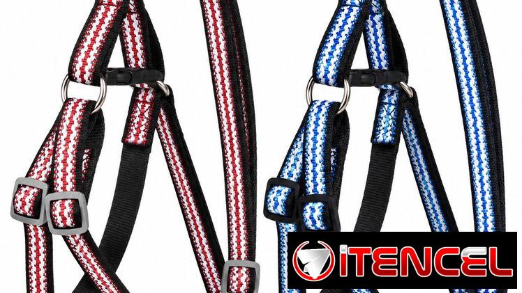 Set de Arnés Ajustable y Correa para Mascotas — foto 1