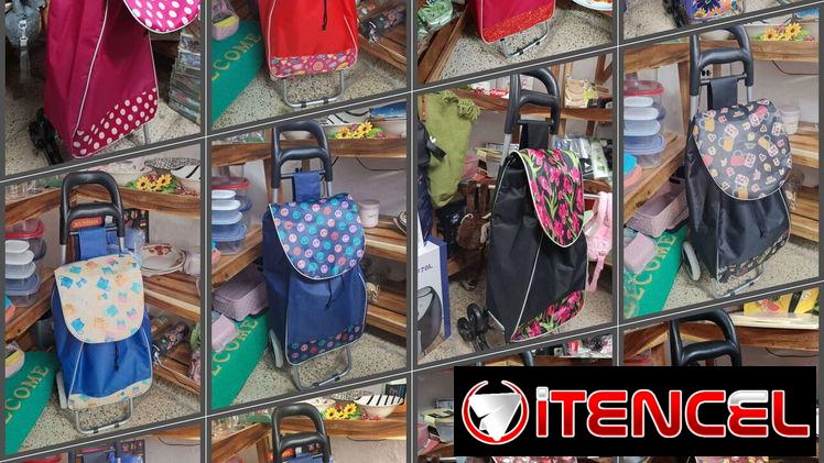 Carrito para los mandados o compra (G2)
