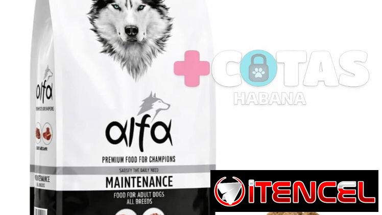 Pienso Alfa para perros adultos