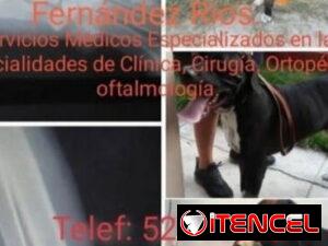8bf3f105112f94529d59a44b8ebe8e8d22ac5a9c2d0e1efbbe80527fb6eaee45