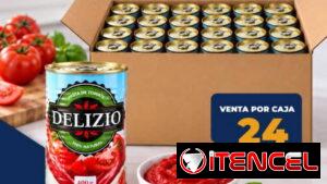 🚧 Pasta de Tomate 400 g Lata - Venta Por Caja De 24 Unidades 🚧
