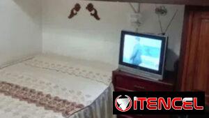Renta en ayestarán y Tulipán lineal o por dias