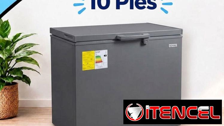 Nevera Gris de 10 pies Royal (Act)