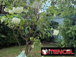 8d903d12ad82ef7ce48d61799ddc87442c74504c17c487f4ea73db920acebb82