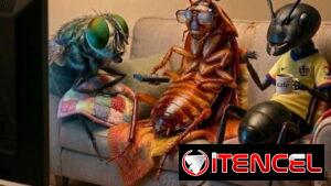 Fumigador contra todo tipo de insectos .